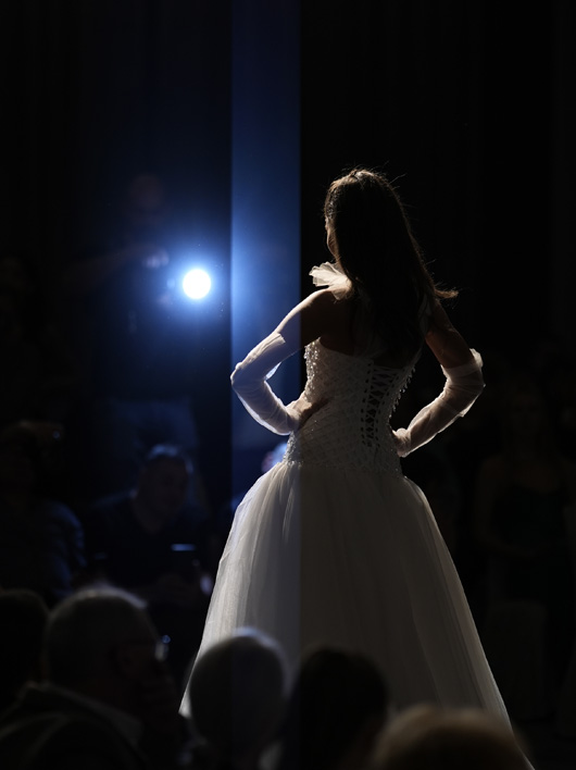 ���� ������ � ���� ����������� �� �����������